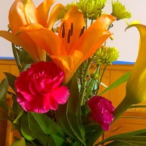 Meet your Posher, Lillie